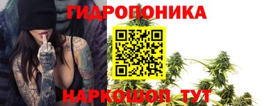ПСИЛОЦИБИНОВЫЕ ГРИБЫ Краснознаменск